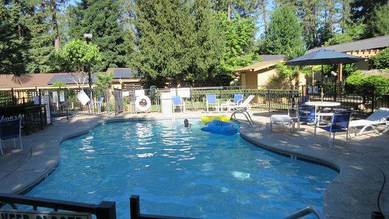 Ponderosa Gardens Motel