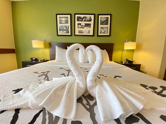 Sleep Inn & Suites Grand Rapids Southeast - Kentwood