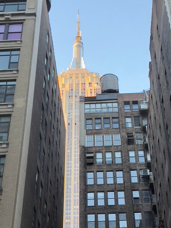 Wingate by Wyndham New York Midtown South/5th Ave