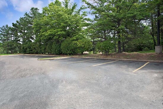 Super 8 by Wyndham Raleigh Downtown South