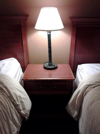 Marvin's Garden Inn