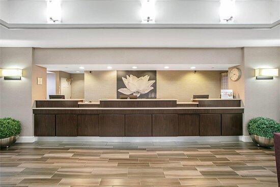 La Quinta Inn & Suites by Wyndham DFW Airport South / Irving