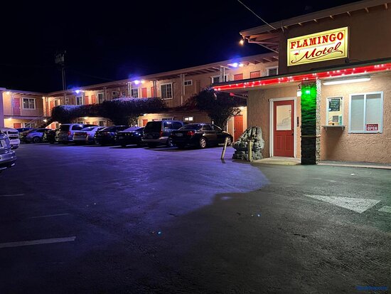 Flamingo Motel
