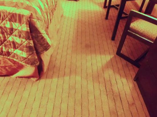 Hotel Brownsville