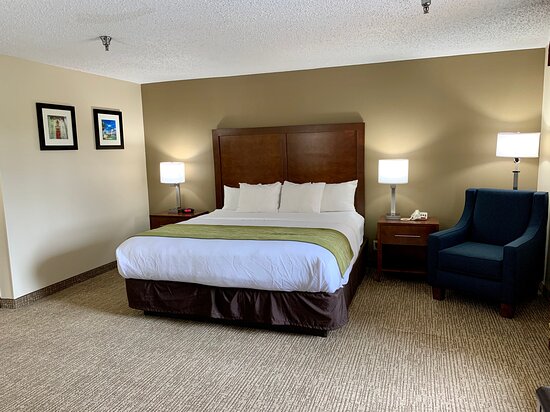 Comfort Inn Columbia-Bush River
