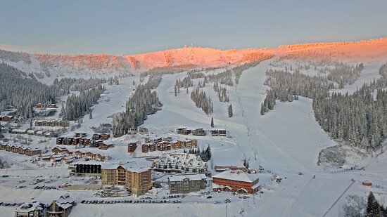 Schweitzer