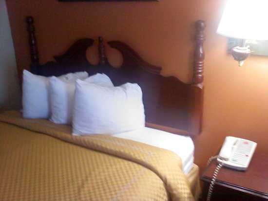 Ramada Limited Columbia