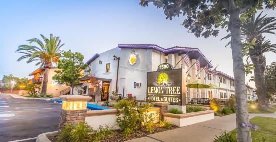 Lemon Tree Hotel And Suites
