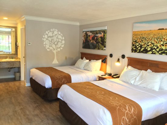 Journey Inn Woodland