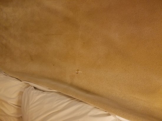 Budget Inn San Leandro