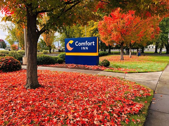 Comfort Inn South