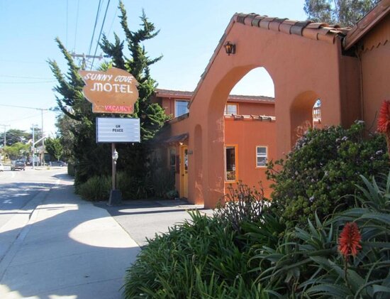 Sunny Cove Motel Apartments
