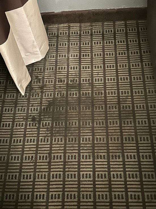 Clarion Hotel & Suites BWI Airport North