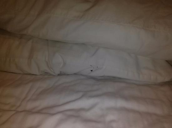 Symphony Inn & Suites