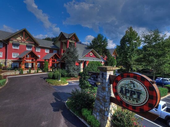 The Appy Lodge