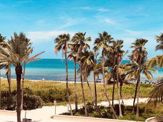 The Broadmoor Miami Beach