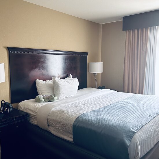 Springdale Inn & Suites