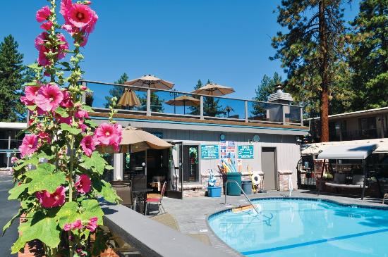 Stardust Lodge
