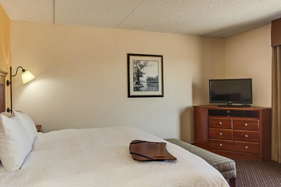 Hampton Inn & Suites Macon I-75 North