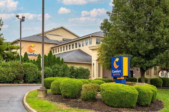 Comfort Suites - Columbus / Clara St
