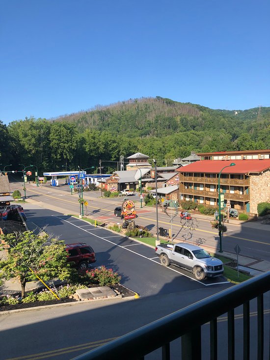 Black Bear Inn & Suites