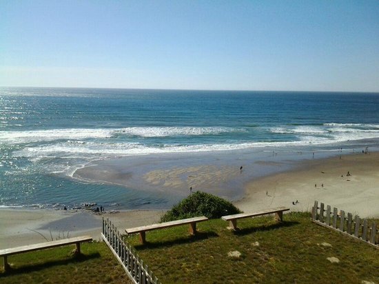 Seahorse Oceanfront Lodging