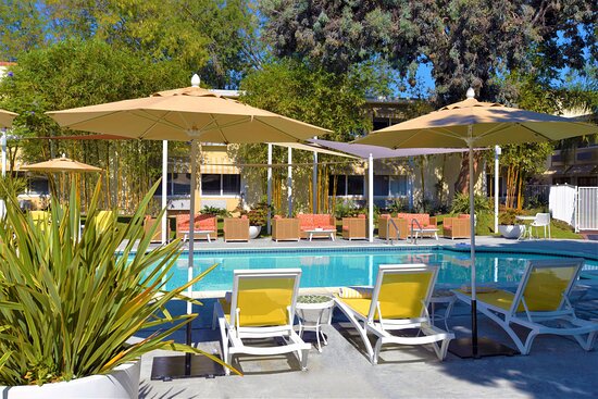 Wild Palms Hotel, A Jdv By Hyatt Hotel