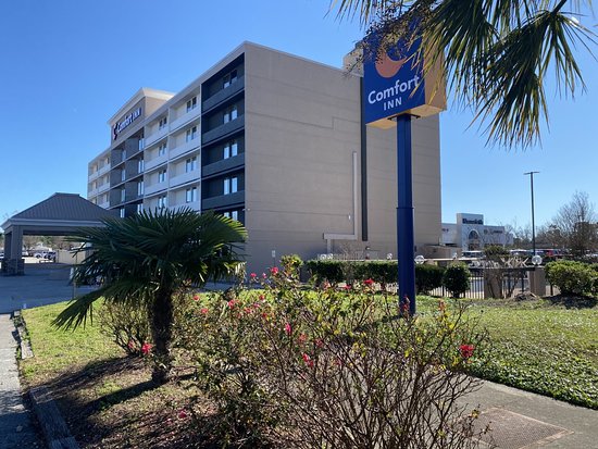 Comfort Inn University