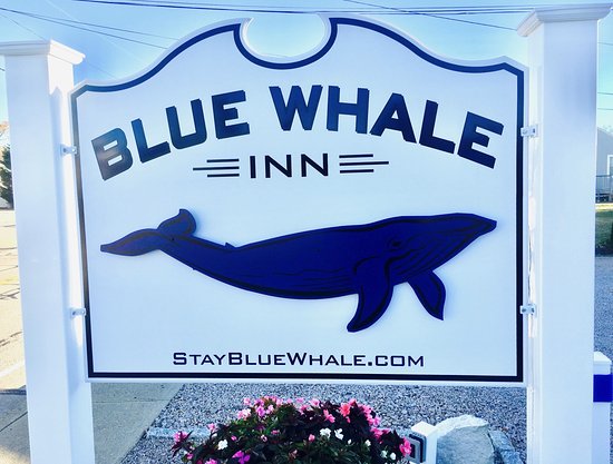 Blue Whale Inn