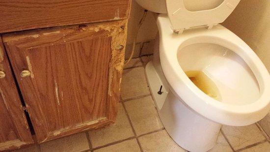 Hometown Inn (Flint)